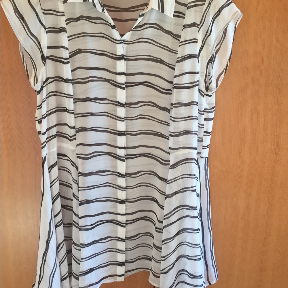 Meadow Rue Large Sheer Blue and White Blouse